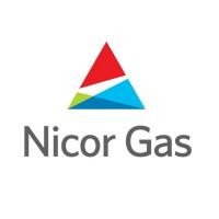 Up to $500 in Nicor Gas Automatic Rebates!